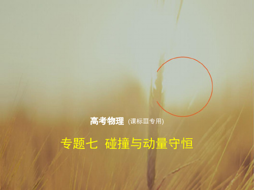2018年高考物理课标Ⅲ专用复习专题测试：专题七 碰撞与动量守恒 共109张 精品