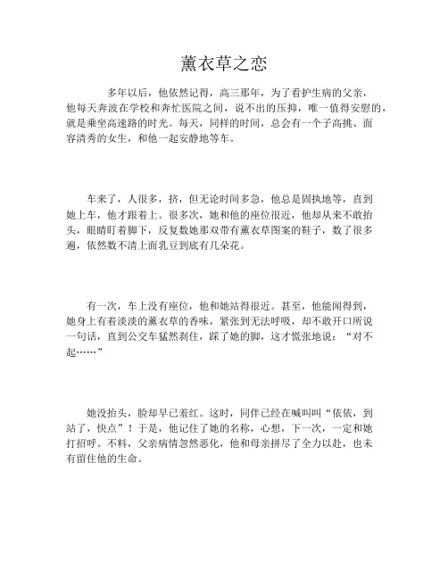 薰衣草之恋