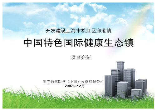 上海松江泖港镇项目介绍(投资新)