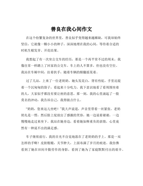 善良在我心间作文
