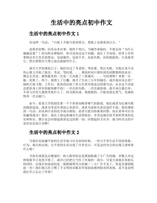 生活中的亮点初中作文