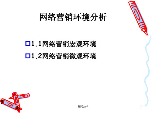 《网络营销环境分析》PPT课件