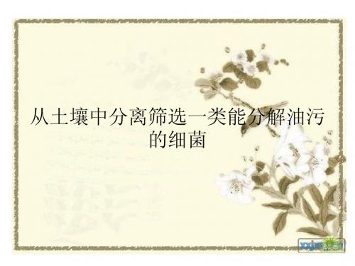 微生物设计性实验