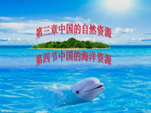 中国的海洋资源课件