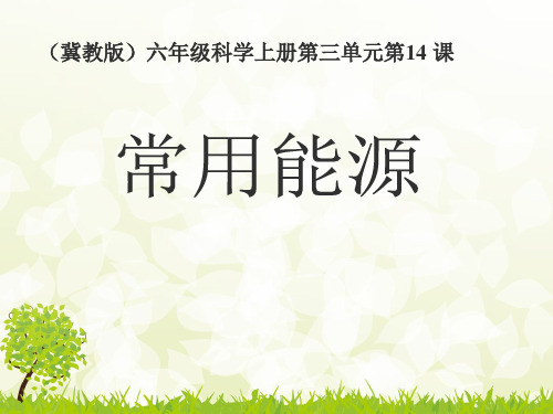 六级上册科学课件-常用能源 冀教版