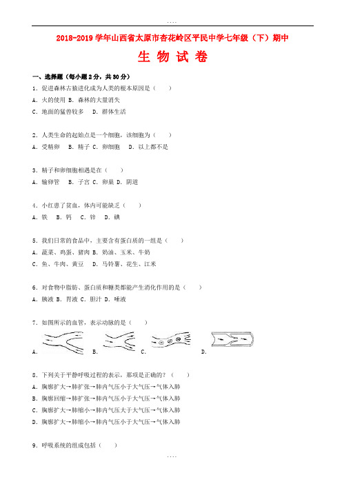 2018-2019学年人教版生物七年级下学期期中试卷(含配套答案)