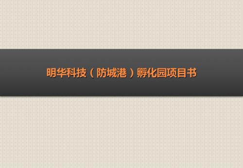 明华科技孵化园项目书