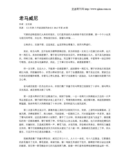 老马威尼
