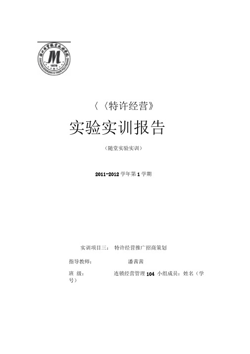 3特许经营推广招商策划(XX组)