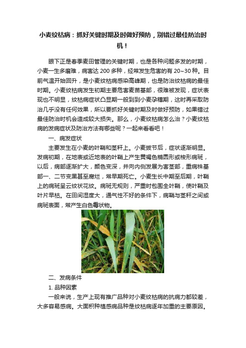 小麦纹枯病：抓好关键时期及时做好预防，别错过最佳防治时机！