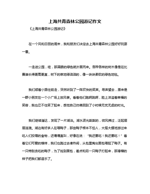 上海共青森林公园游记作文