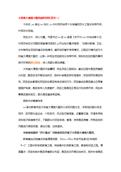 大排查大清理大整改剖析材料