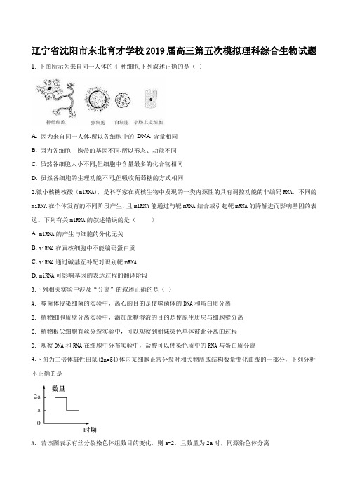 辽宁省沈阳市东北育才学校2019届高三第五次模拟理科综合生物试题(原卷版)