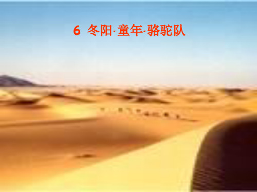 冬阳童年骆驼队详解