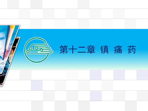 15镇痛药