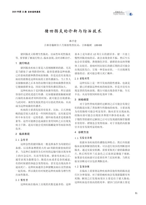 猪回肠炎的诊断与防治技术
