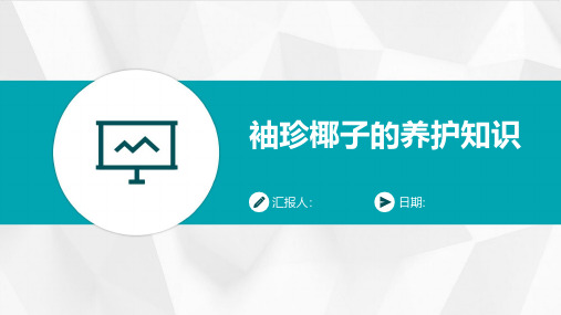 袖珍椰子的养护知识