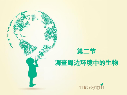 人教版初中生物七上第一单元 第二节  调查周边环境中的生物 课件 (共15张PPT)
