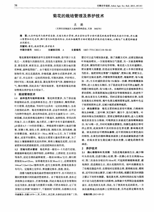 菊花的栽培管理及养护技术