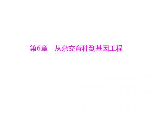 高考生物一轮复习课件：必修2 第6章 第1、2节 杂交育种与诱变育种、基因工程及其应用