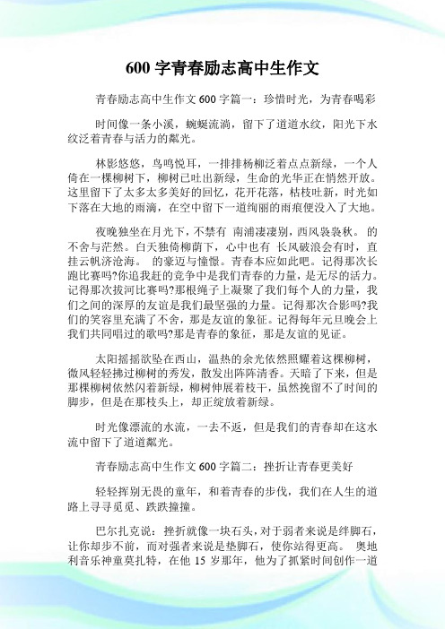 600字青春励志高级中学生作文.doc