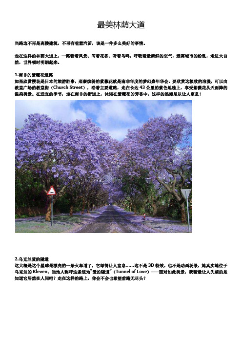 最美林荫大道