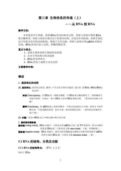 分子生物老师总结的Chapter 3 转录