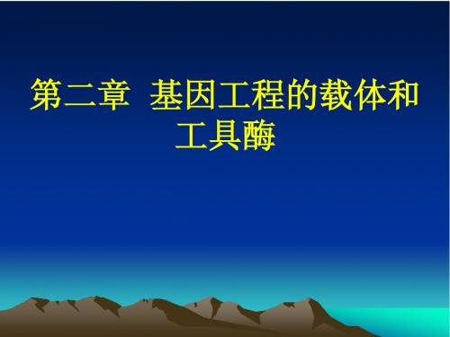 第二章  基因工程的工具酶2