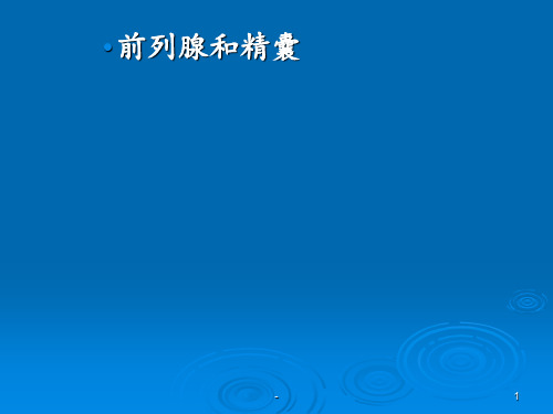 前列腺膀胱ppt课件