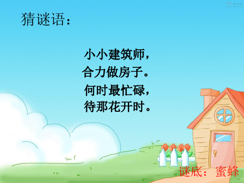 人教版小学三年级语文上册14《蜜蜂》PPT课件