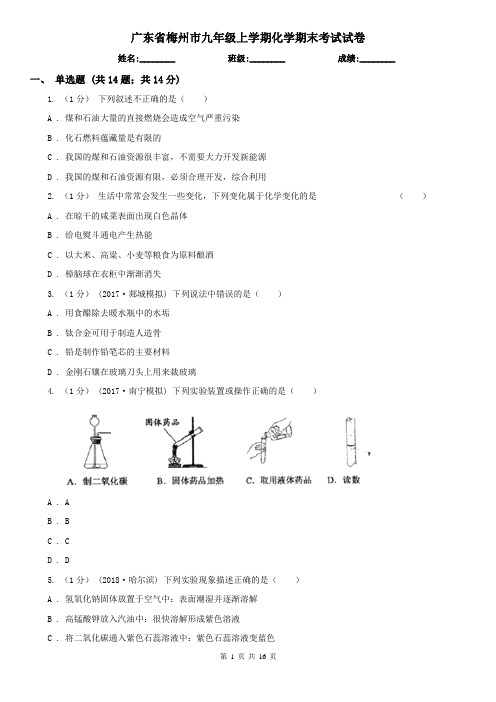广东省梅州市九年级上学期化学期末考试试卷