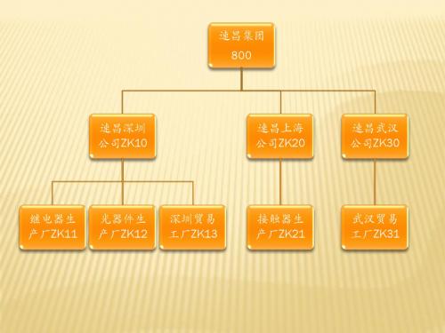 1.13组织结构-采购组织、采购组