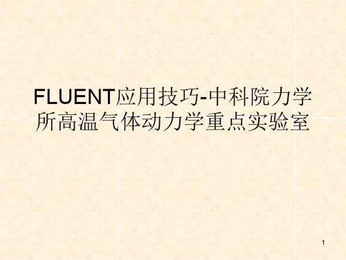 FLUENT应用技巧-中科院力学所高温气体动力学重点实验室