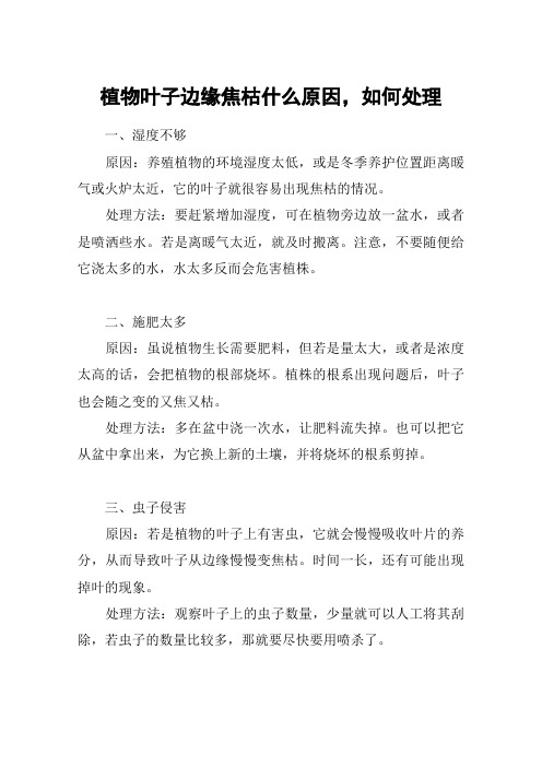 植物叶子边缘焦枯什么原因,如何处理