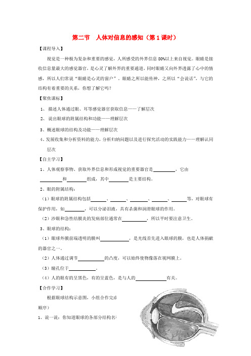 八年级生物上册 6.16.2《人体对信息的感知》第1课时导学案(无答案)(新版)苏科版