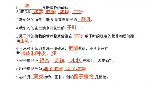 第二章被子植物的一生
