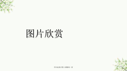 四年级美术第六课静物一家课件