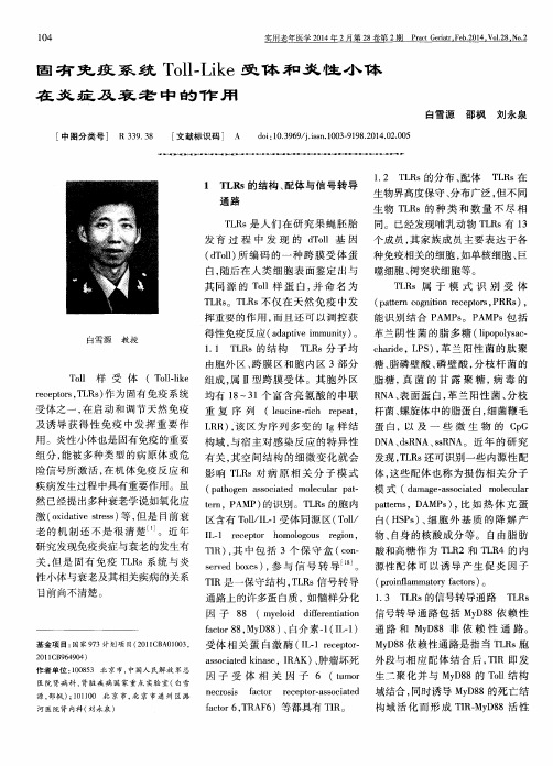 固有免疫系统Toll-Like受体和炎性小体在炎症及衰老中的作用