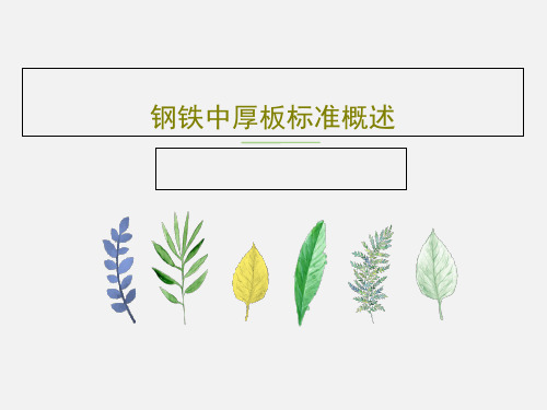 钢铁中厚板标准概述共45页