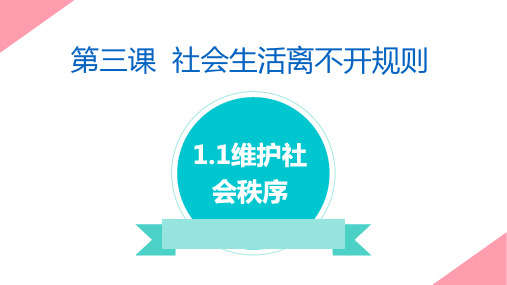部编版道德与法治八年级上册3.1 维护秩序 课件 (1)