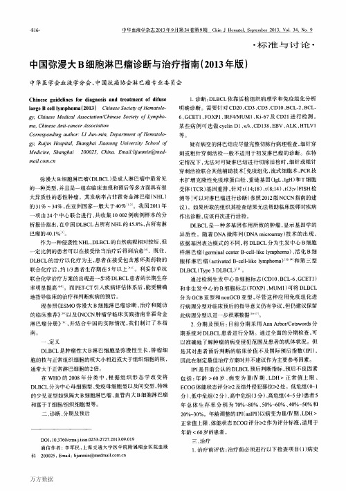中国弥漫大B细胞淋巴瘤诊断与治疗指南(2013年版)
