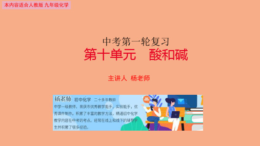 中考化学第一轮复习第十单元 酸和碱(共30张PPT)
