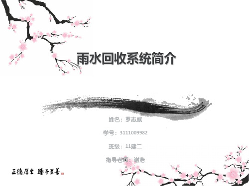 雨水收集系统分析