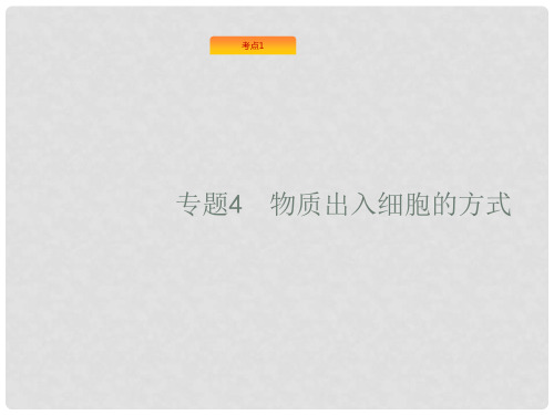 高考生物 4物质出入细胞的方式复习课件