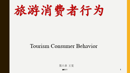 旅游消费者行为第六章个性 ppt课件
