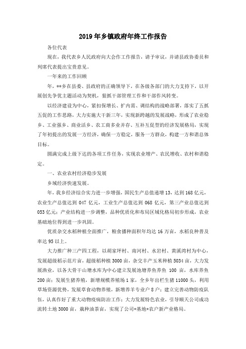 最新-2019年乡镇政府年终工作报告 精品