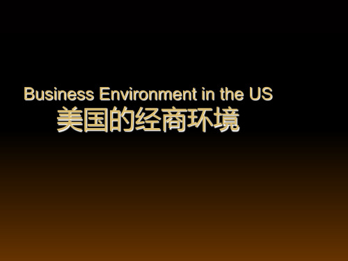 美国的商业环境(中英文混排)PPT课件