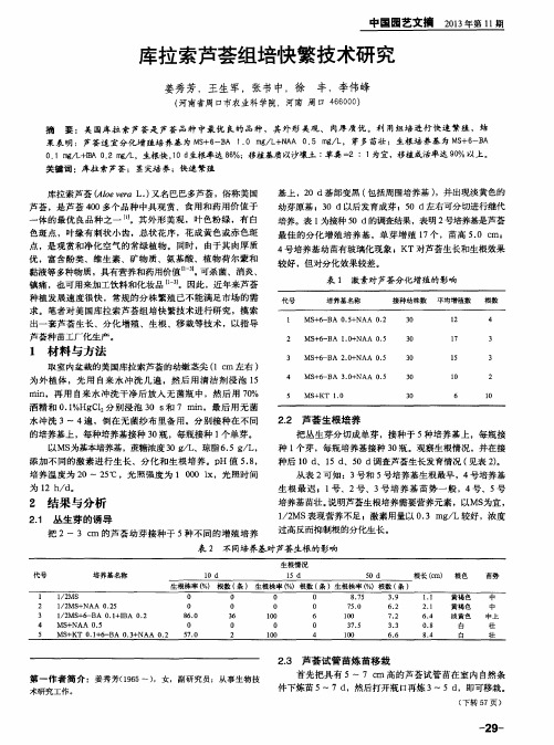 库拉索芦荟组培快繁技术研究