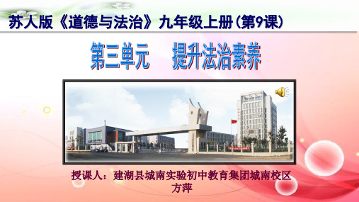 苏人版九年级上册道德与法治《财产所有权与财产继承权》课件公开课
