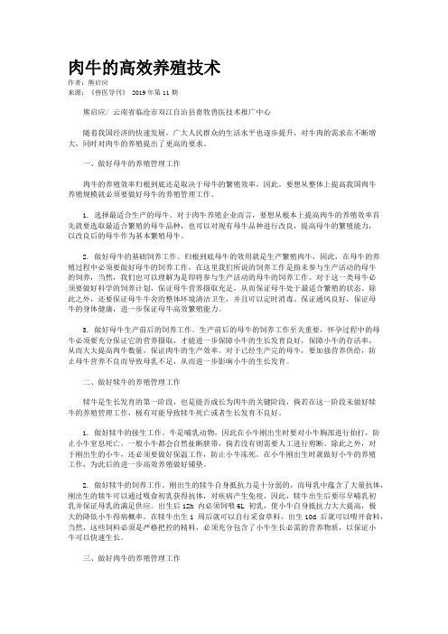 肉牛的高效养殖技术